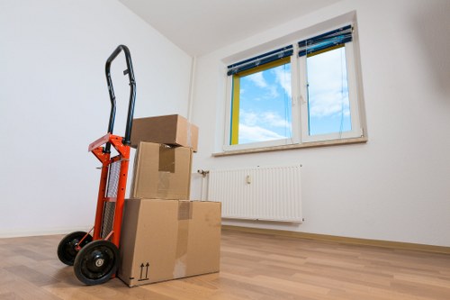 Final review and resolution of a storage complaint